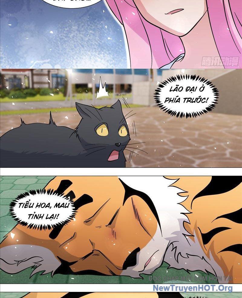 Trọng Sinh Thành Chó Của Nữ Thần Chapter 388 - Next Chapter 389