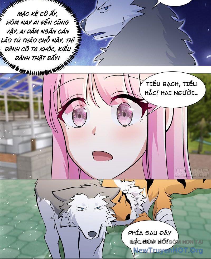 Trọng Sinh Thành Chó Của Nữ Thần Chapter 388 - Next Chapter 389