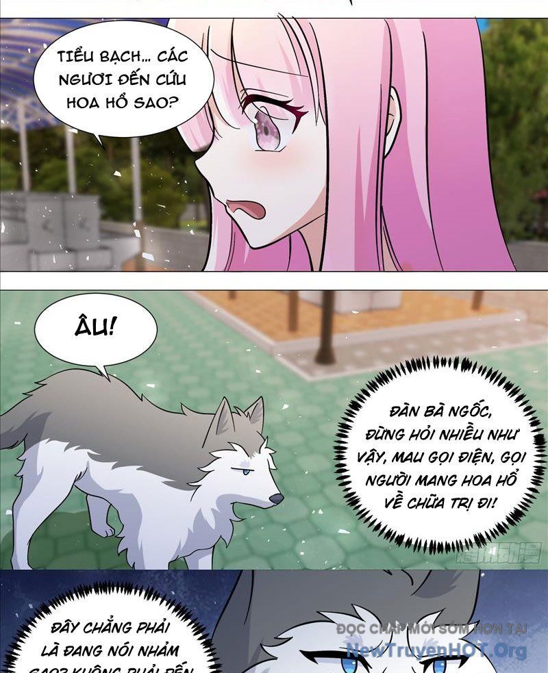 Trọng Sinh Thành Chó Của Nữ Thần Chapter 388 - Next Chapter 389