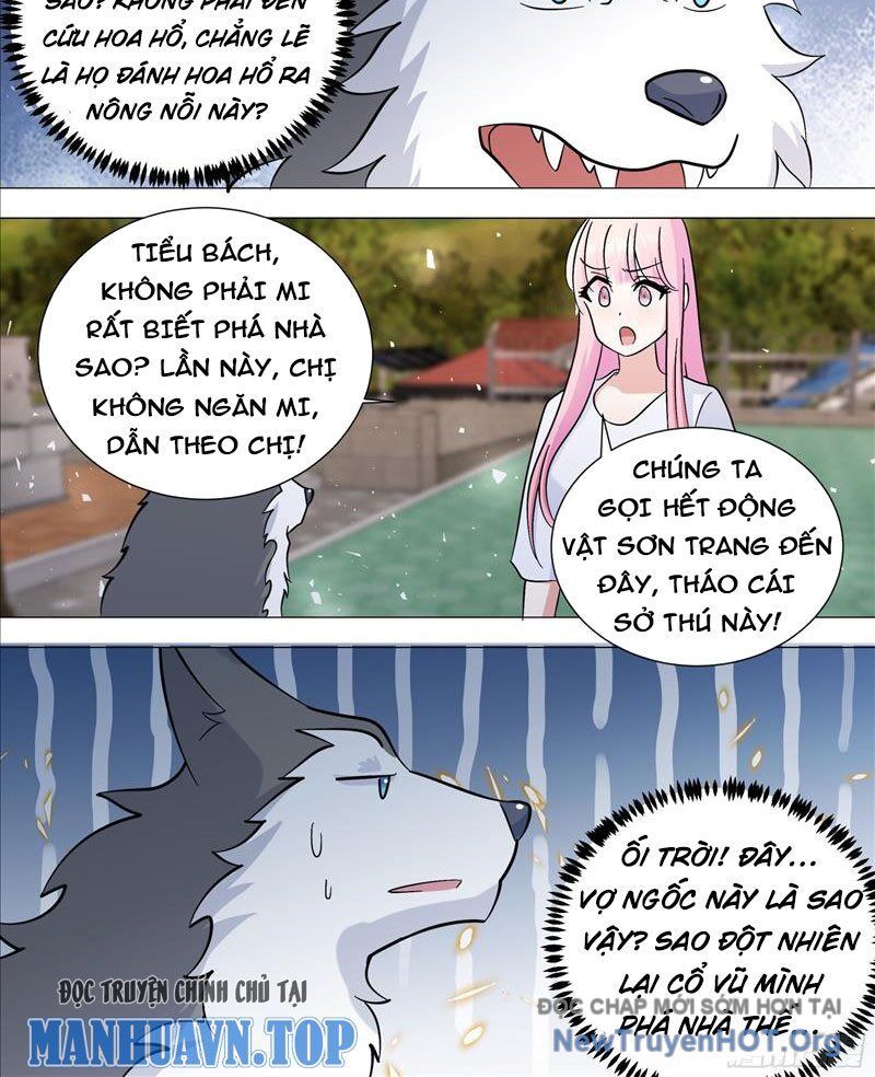 Trọng Sinh Thành Chó Của Nữ Thần Chapter 388 - Next Chapter 389