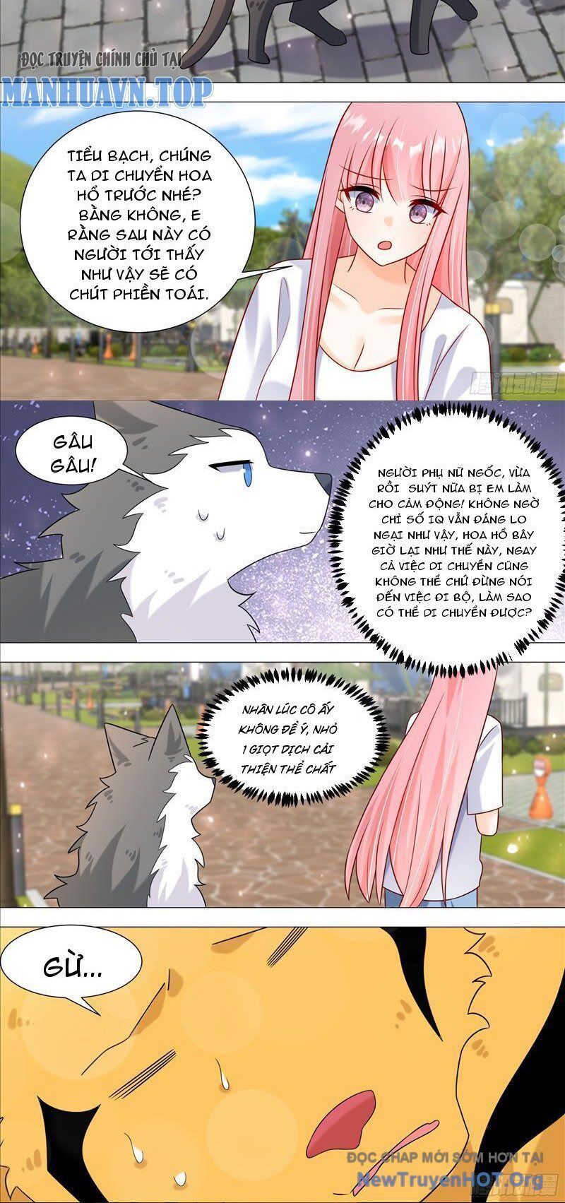 Trọng Sinh Thành Chó Của Nữ Thần Chapter 389 - Next Chapter 390