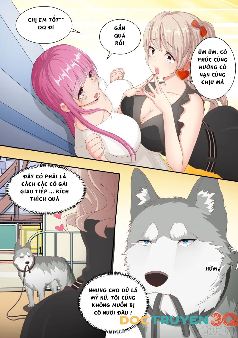 Trọng Sinh Thành Chó Của Nữ Thần Chapter 4 - Trang 2