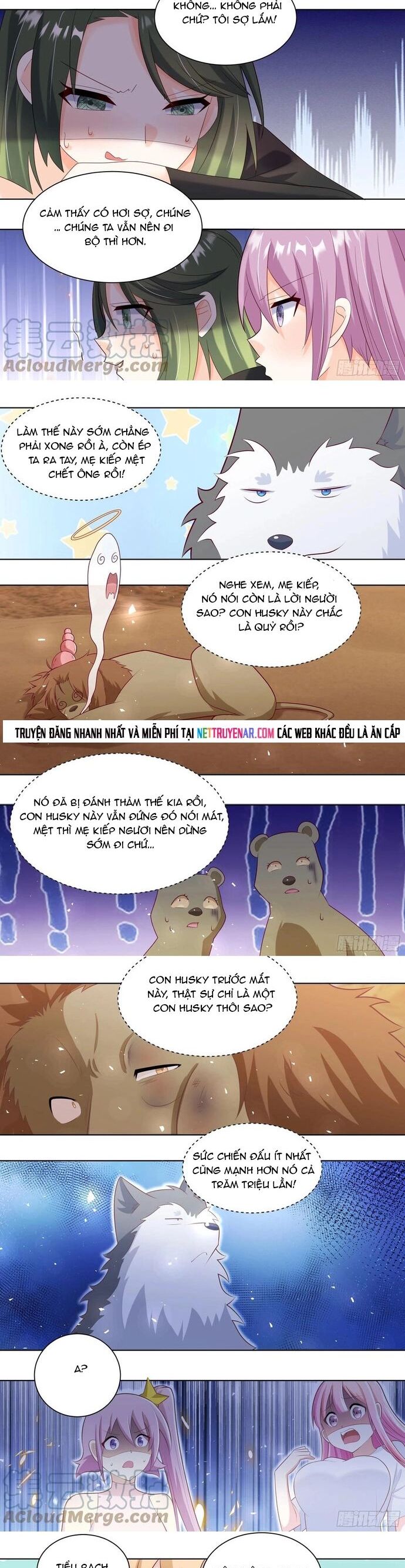 Trọng Sinh Thành Chó Của Nữ Thần Chapter 424 - Next Chapter 425