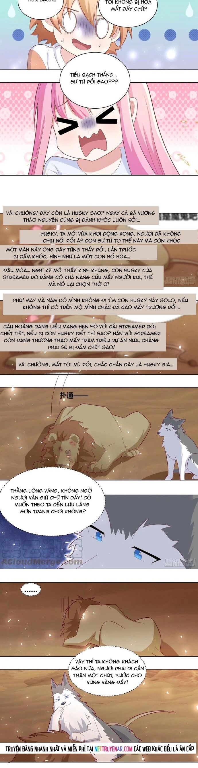 Trọng Sinh Thành Chó Của Nữ Thần Chapter 424 - Next Chapter 425