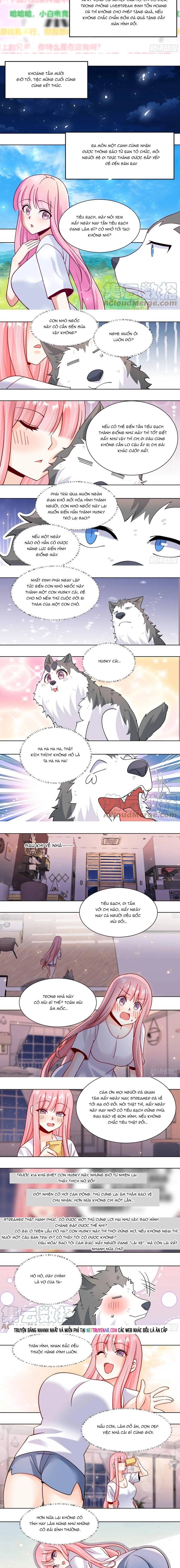 Trọng Sinh Thành Chó Của Nữ Thần Chapter 434 - Trang 2