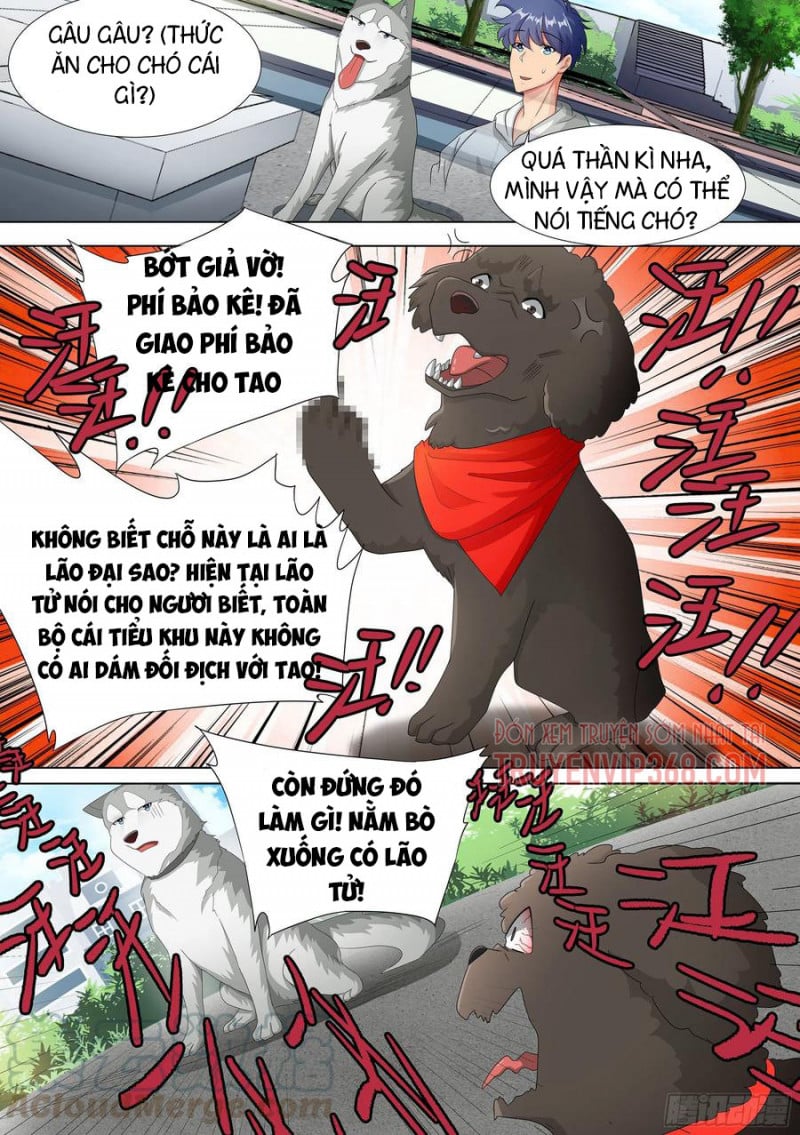 Trọng Sinh Thành Chó Của Nữ Thần Chapter 9 - Trang 2