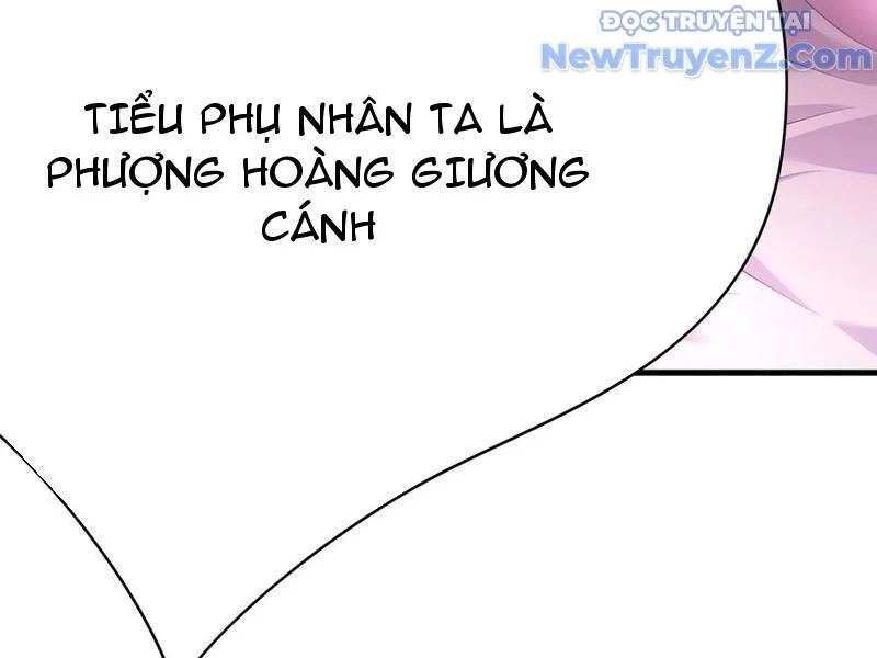 Trụ Vương Tái Sinh Không Muốn Làm Đại Phản Diện Chapter 117 - Trang 2