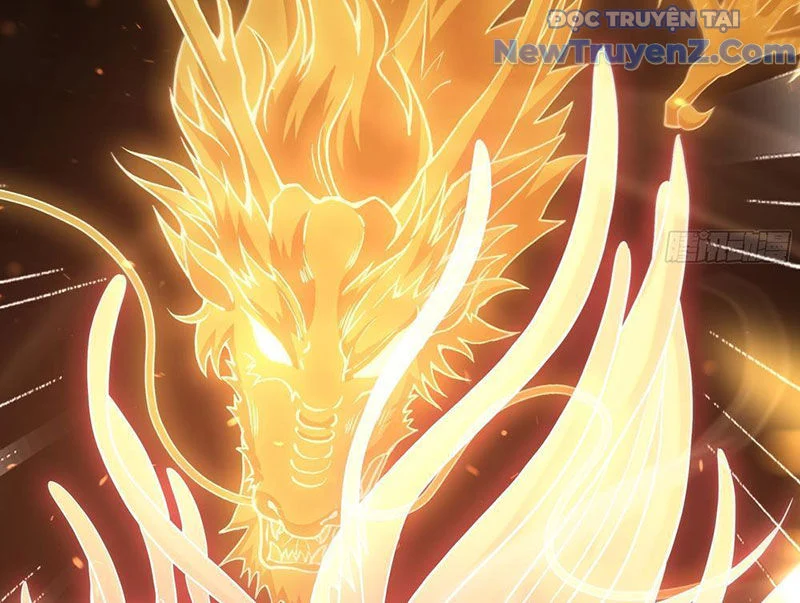 Trụ Vương Tái Sinh Không Muốn Làm Đại Phản Diện Chapter 118 - Trang 2