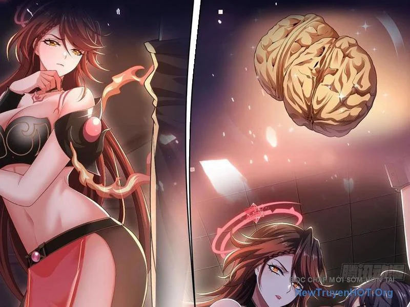 Trụ Vương Tái Sinh Không Muốn Làm Đại Phản Diện Chapter 141 - Trang 3