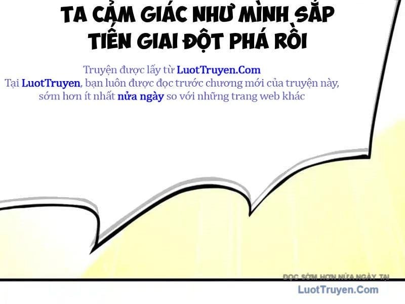 Trụ Vương Tái Sinh Không Muốn Làm Đại Phản Diện Chapter 165 - Trang 2