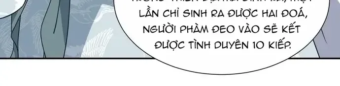 Trùng Sinh Chuyên Sủng Độc Phi Của Nhiếp Chính Vương Chapter 142 24
