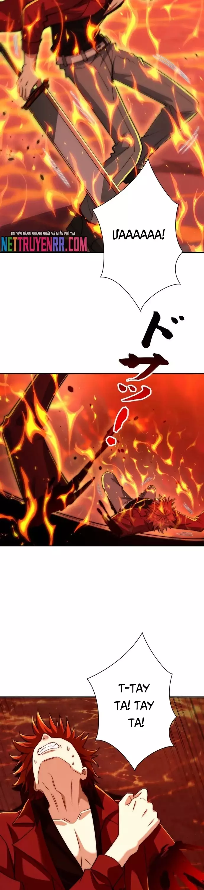 Trùng sinh: Tôi đứng Top nhờ hệ thống gian lận Chapter 38 - Next 