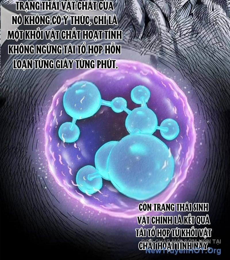 Truyền Võ Chapter 480 - Trang 2