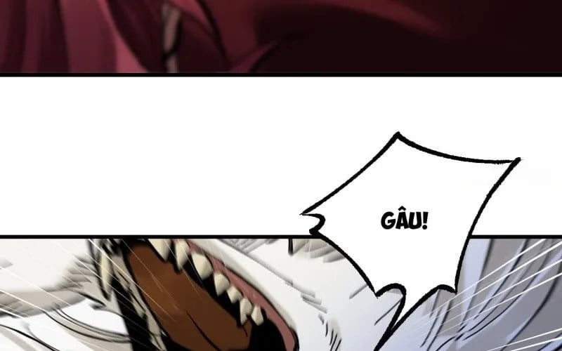 Truyền Võ Chapter 491 - Trang 2