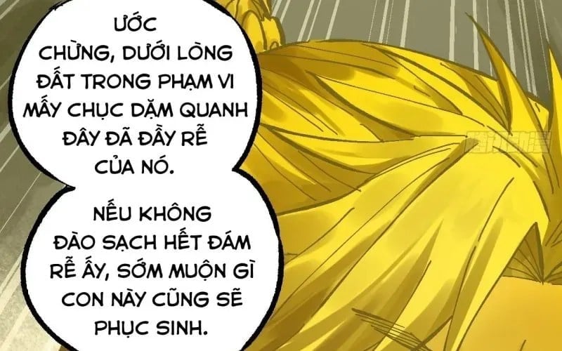 Truyền Võ Chapter 492 - Trang 2