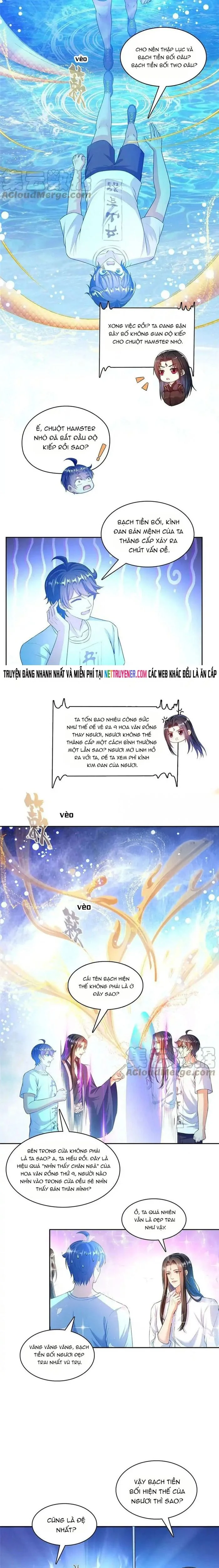 Tu Chân Nói Chuyện Phiếm Quần Chapter 538 - Trang 2
