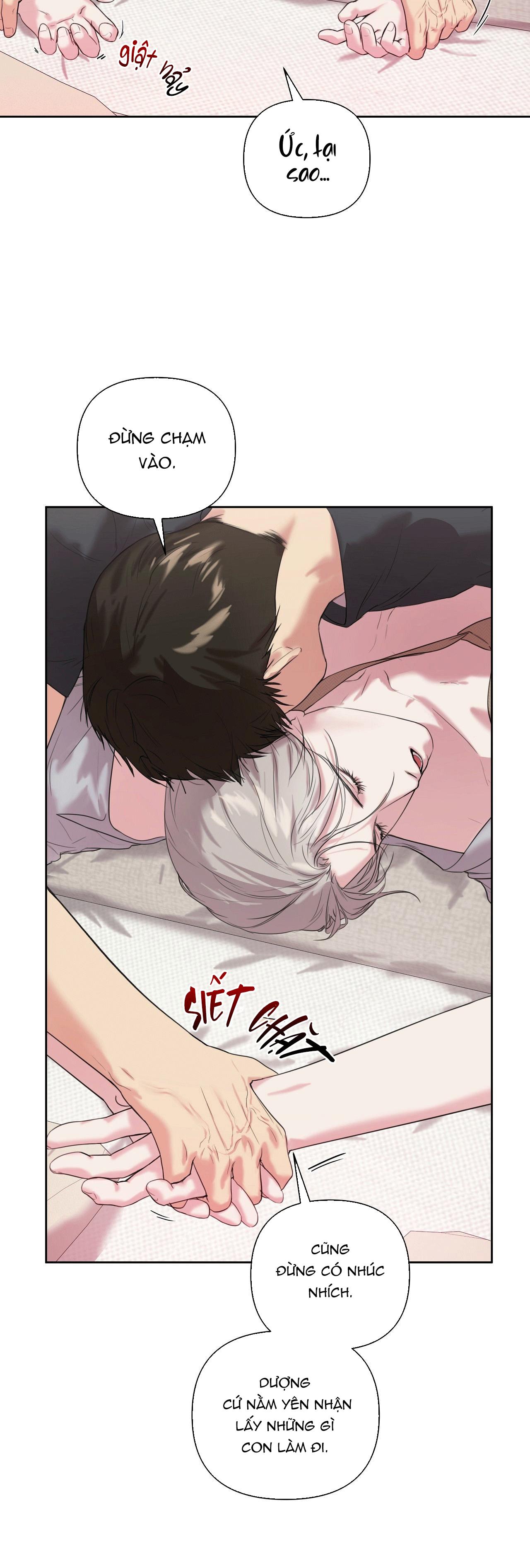 TU HÚ KHÔNG RỜI KHỎI TỔ Chapter 11 - Trang 2