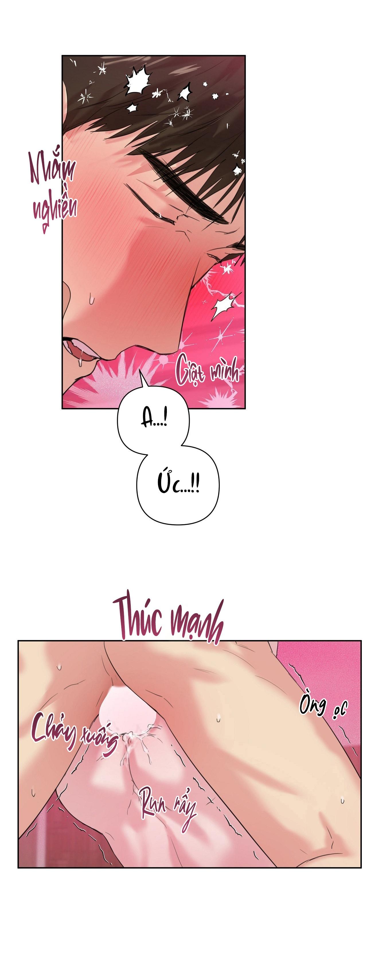 TU HÚ KHÔNG RỜI KHỎI TỔ Chapter 13 - Trang 2
