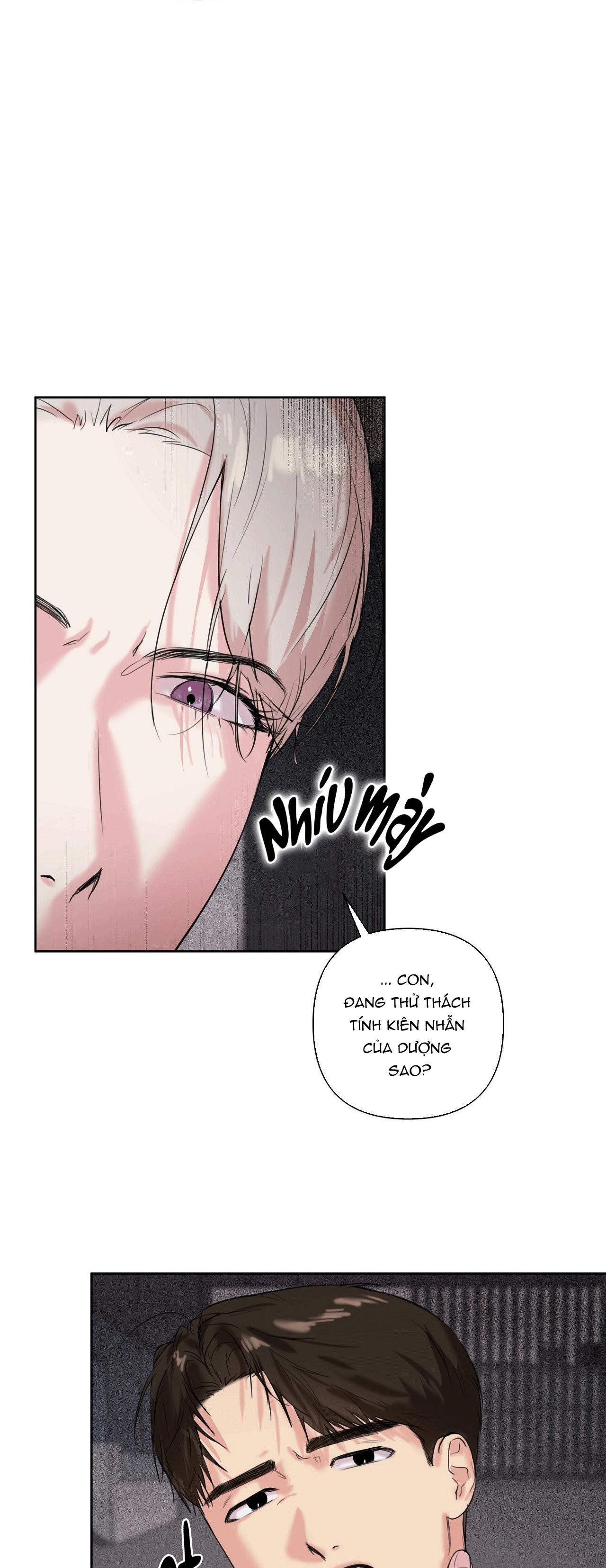 TU HÚ KHÔNG RỜI KHỎI TỔ Chapter 16 - Trang 3