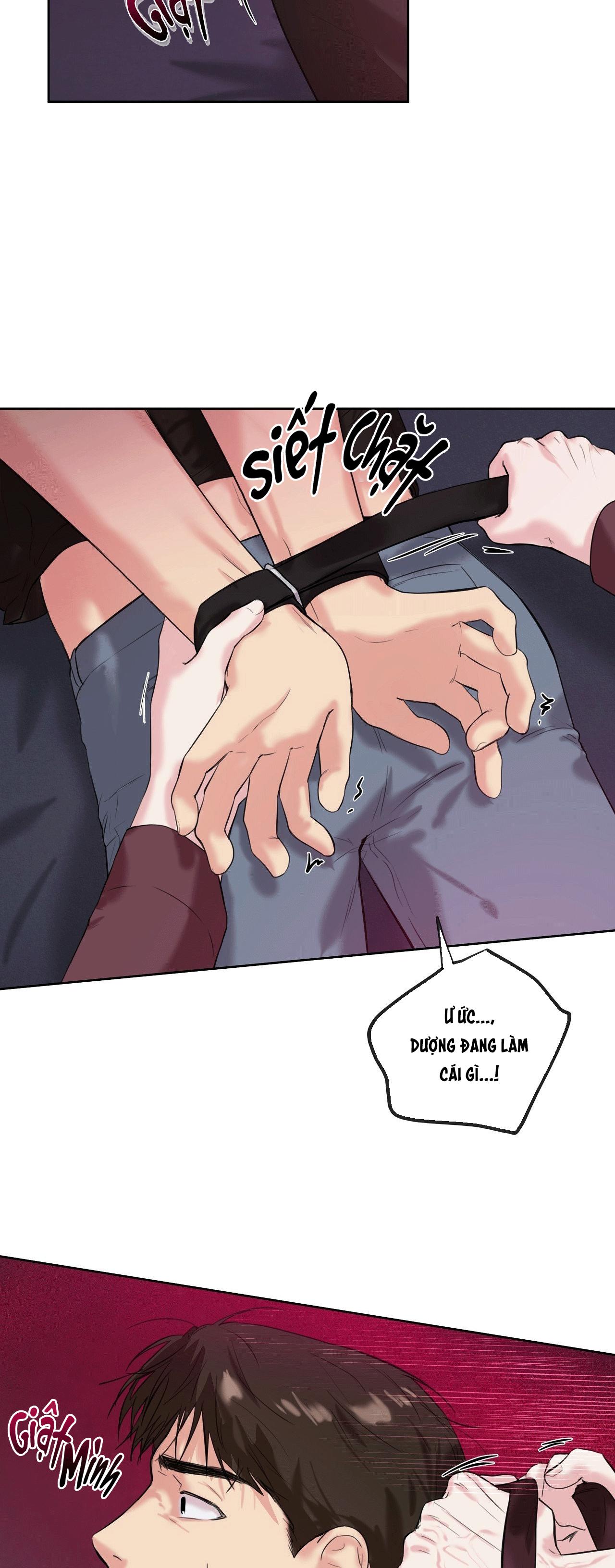 TU HÚ KHÔNG RỜI KHỎI TỔ Chapter 16 - Trang 3