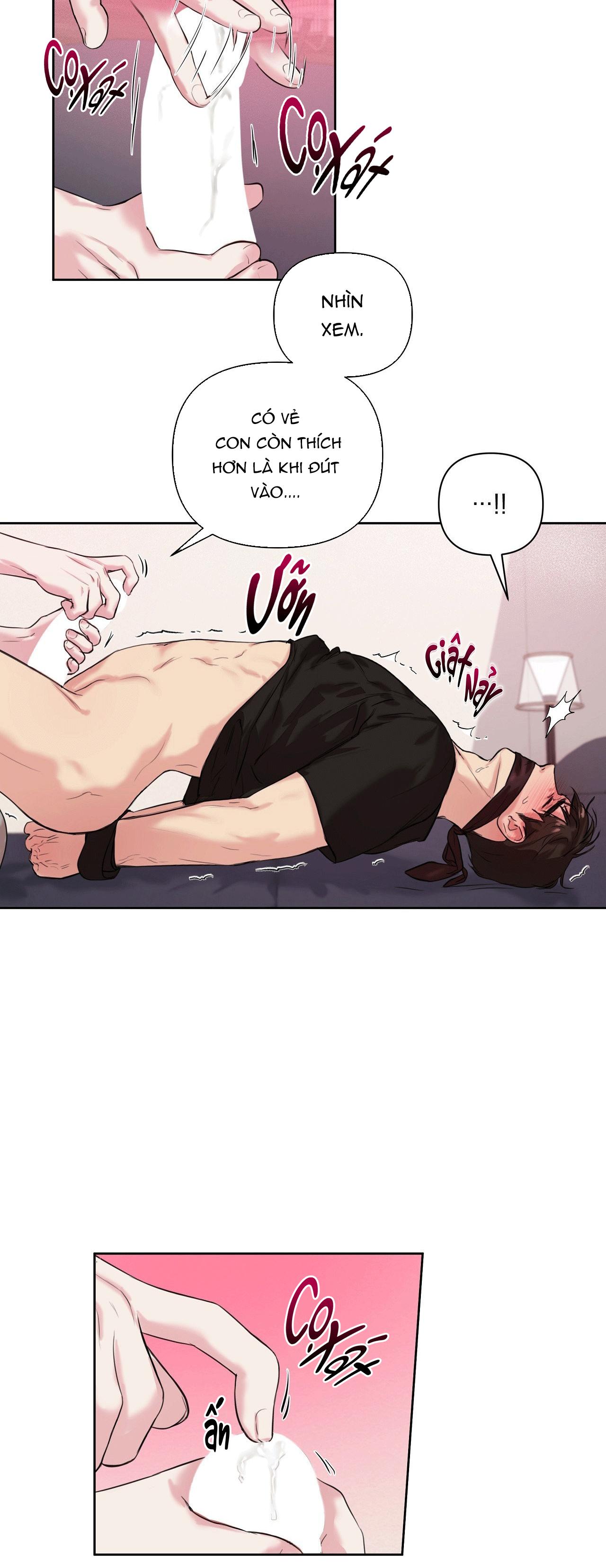 TU HÚ KHÔNG RỜI KHỎI TỔ Chapter 16 - Trang 3