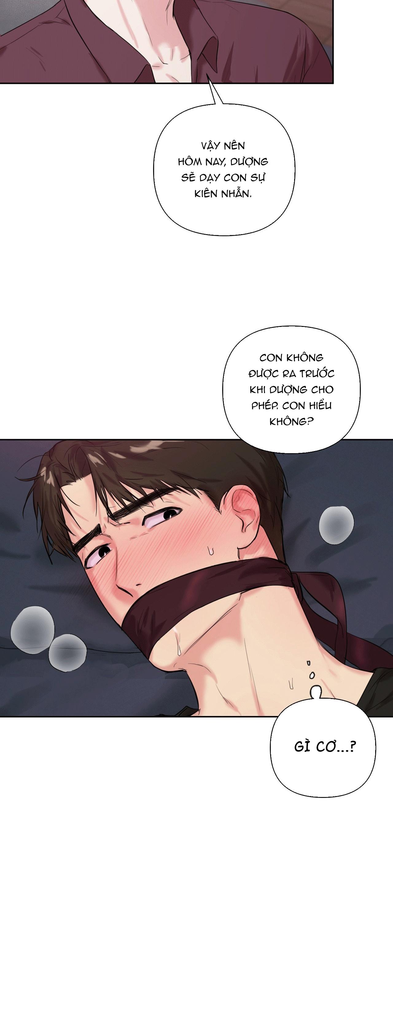 TU HÚ KHÔNG RỜI KHỎI TỔ Chapter 17 - Next 