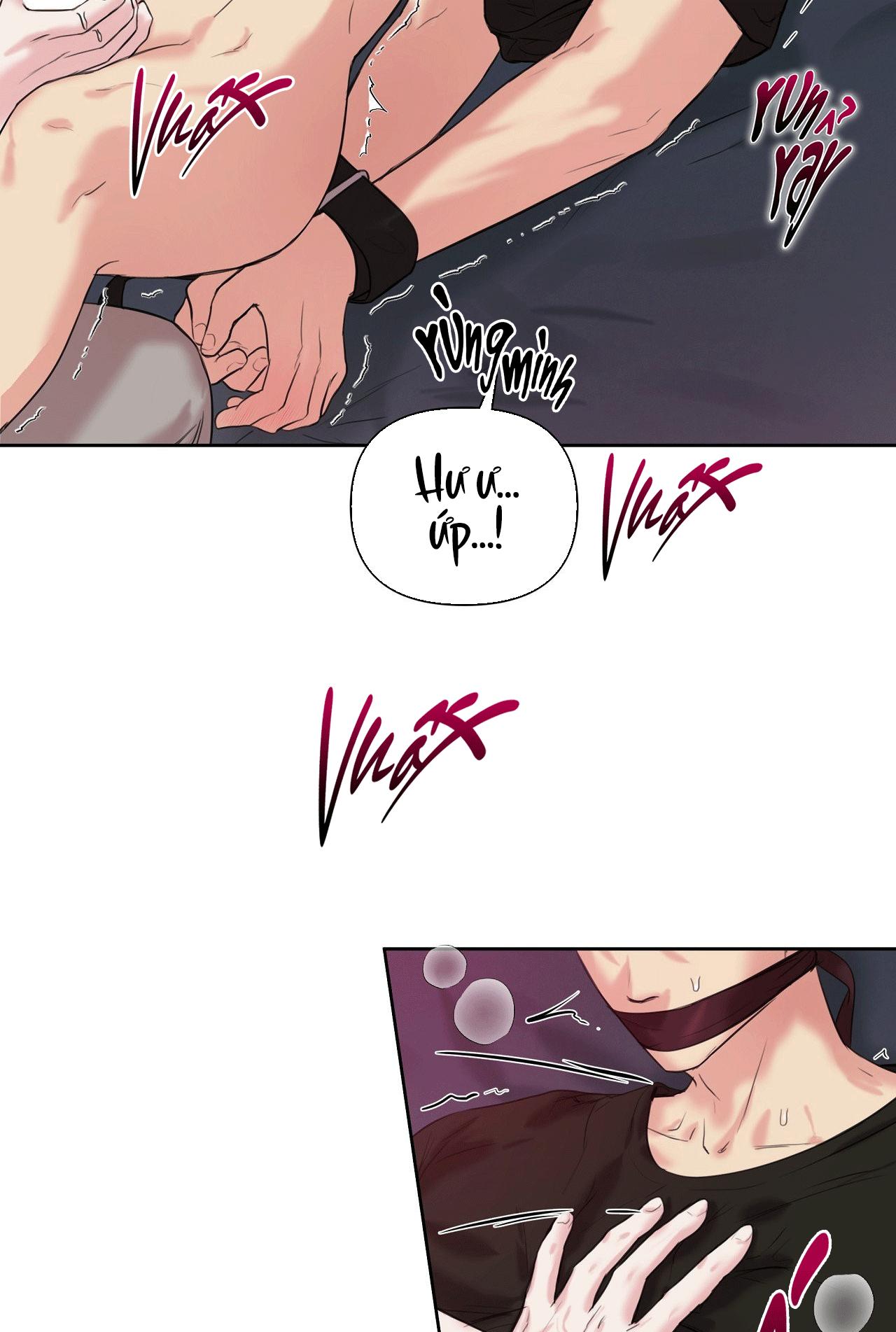 TU HÚ KHÔNG RỜI KHỎI TỔ Chapter 17 - Next 