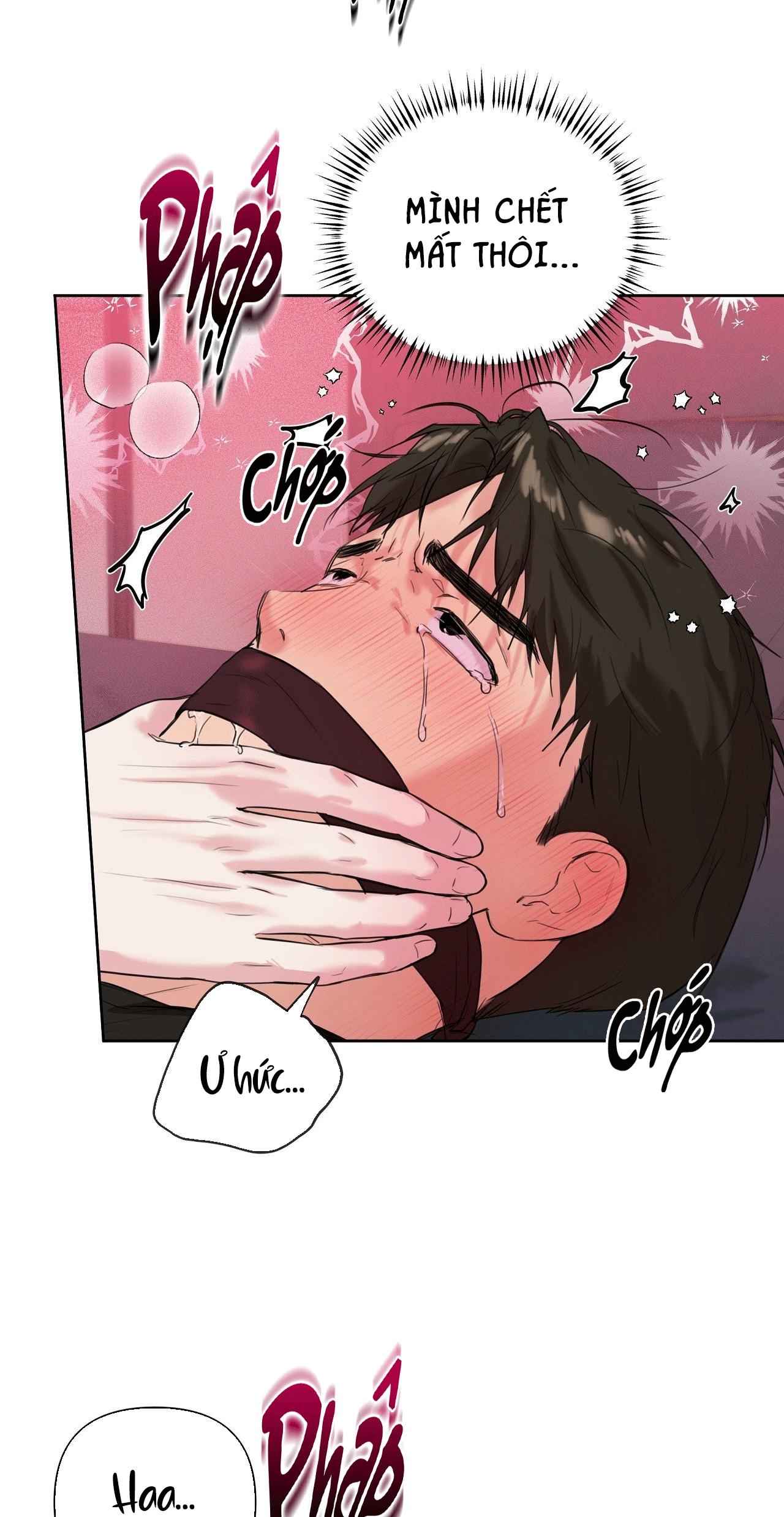TU HÚ KHÔNG RỜI KHỎI TỔ Chapter 17 - Next 