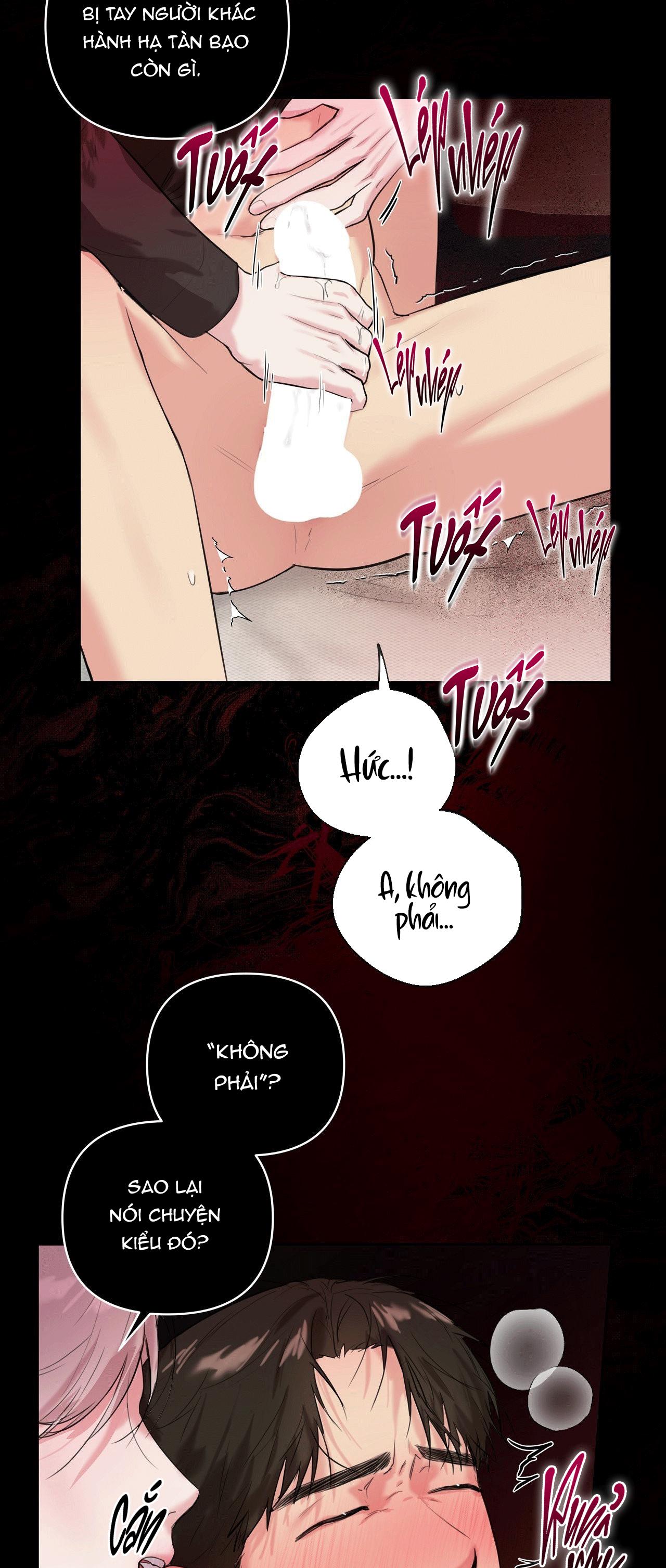 TU HÚ KHÔNG RỜI KHỎI TỔ Chapter 19 - Next 
