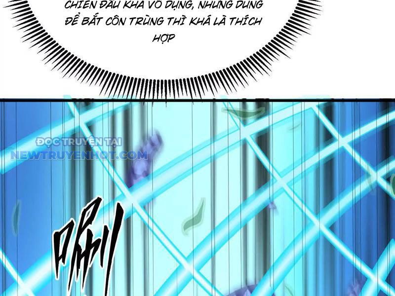 Tu Tiên Bắt Đầu Từ Trường Sinh Chapter 16 - Trang 2