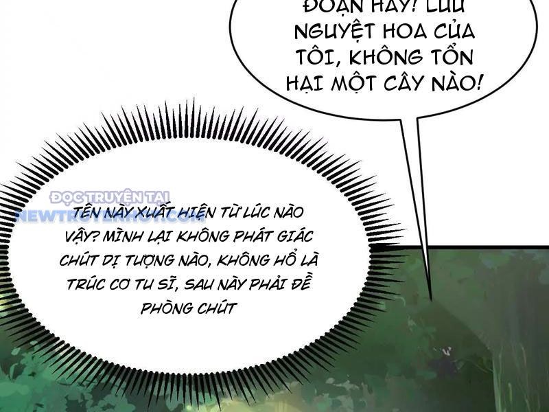 Tu Tiên Bắt Đầu Từ Trường Sinh Chapter 16 - Trang 2