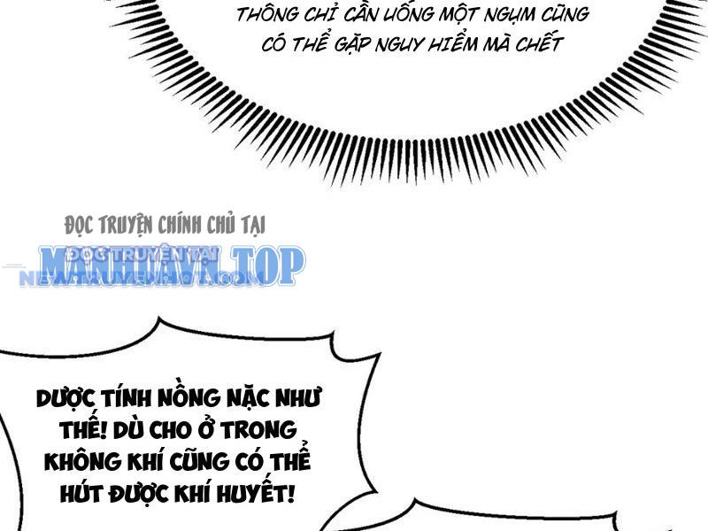 Tu Tiên Bắt Đầu Từ Trường Sinh Chapter 20 - Trang 2