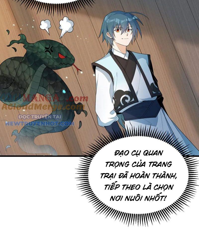 Tu Tiên Bắt Đầu Từ Trường Sinh Chapter 31 - Trang 2