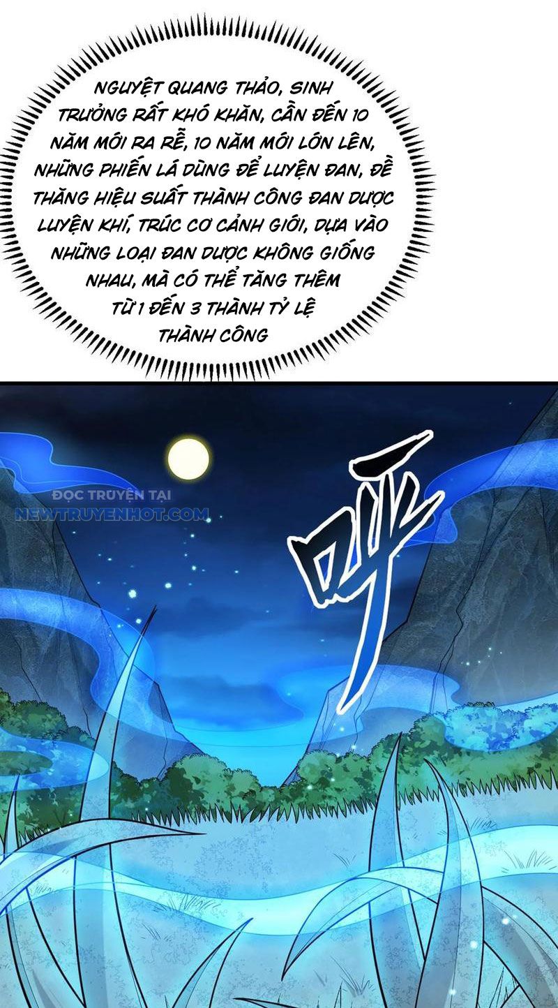 Tu Tiên Bắt Đầu Từ Trường Sinh Chapter 41 - Trang 2