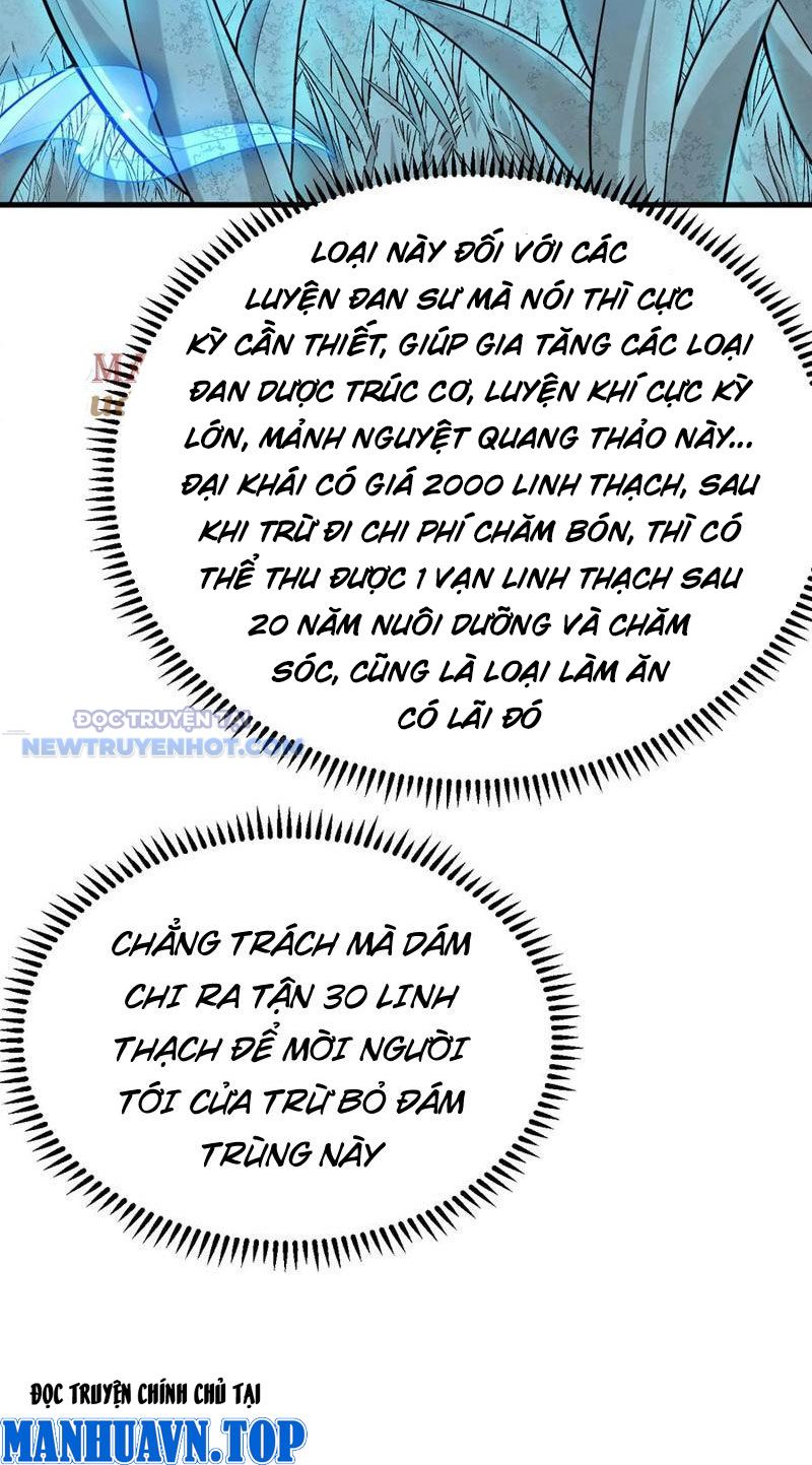Tu Tiên Bắt Đầu Từ Trường Sinh Chapter 41 - Trang 2