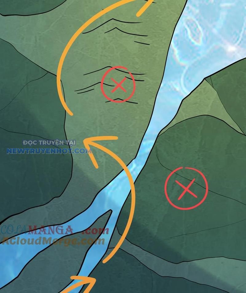 Tu Tiên Bắt Đầu Từ Trường Sinh Chapter 47 - Trang 2