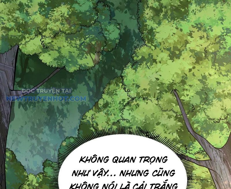 Tu Tiên Bắt Đầu Từ Trường Sinh Chapter 52 - Trang 2