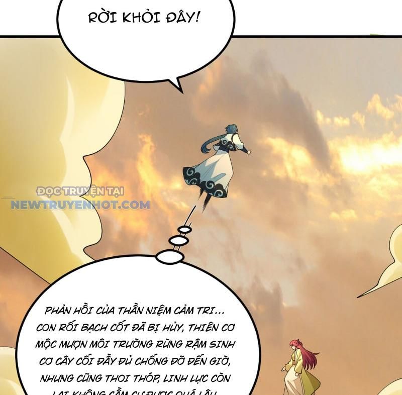 Tu Tiên Bắt Đầu Từ Trường Sinh Chapter 55 - Trang 2