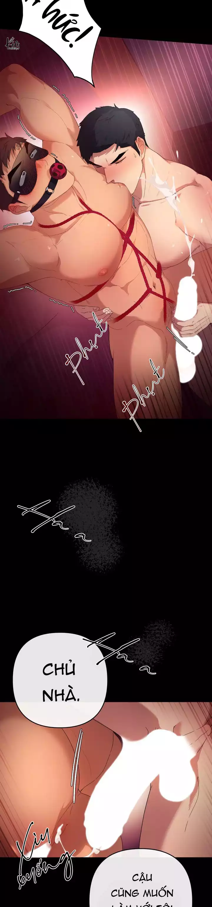 Tuyển Tập Ngực Bự Mlem-Bdsm Của Nhà Kim Chapter 182.3 - Trang 2