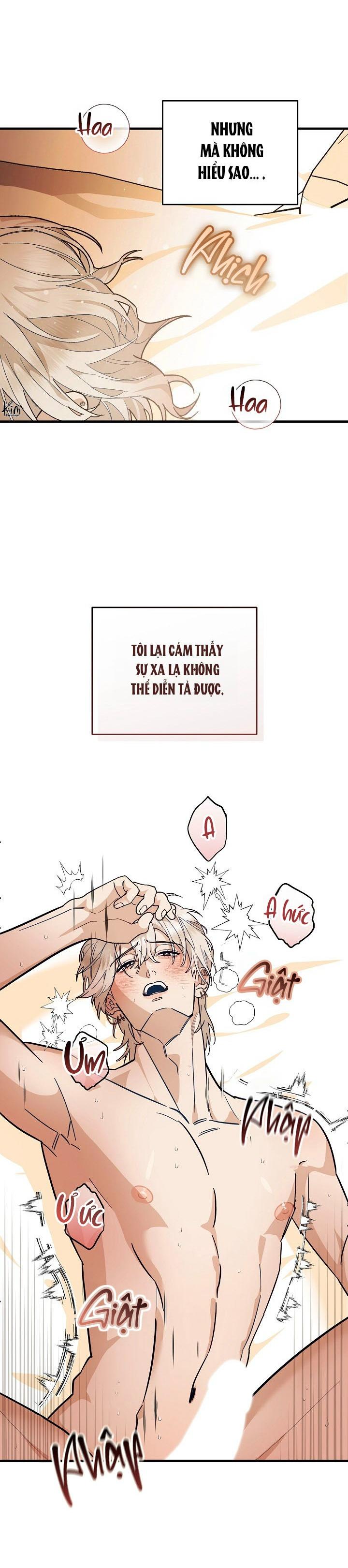 TUYỂN TẬP NHẤT THỤ ĐA CÔNG CỦA NHÀ KIM Chapter 47.7 threepiecelove7 - Trang 2