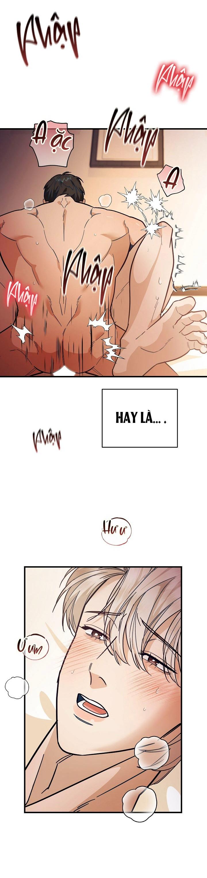 TUYỂN TẬP NHẤT THỤ ĐA CÔNG CỦA NHÀ KIM Chapter 47.7 threepiecelove7 - Trang 2