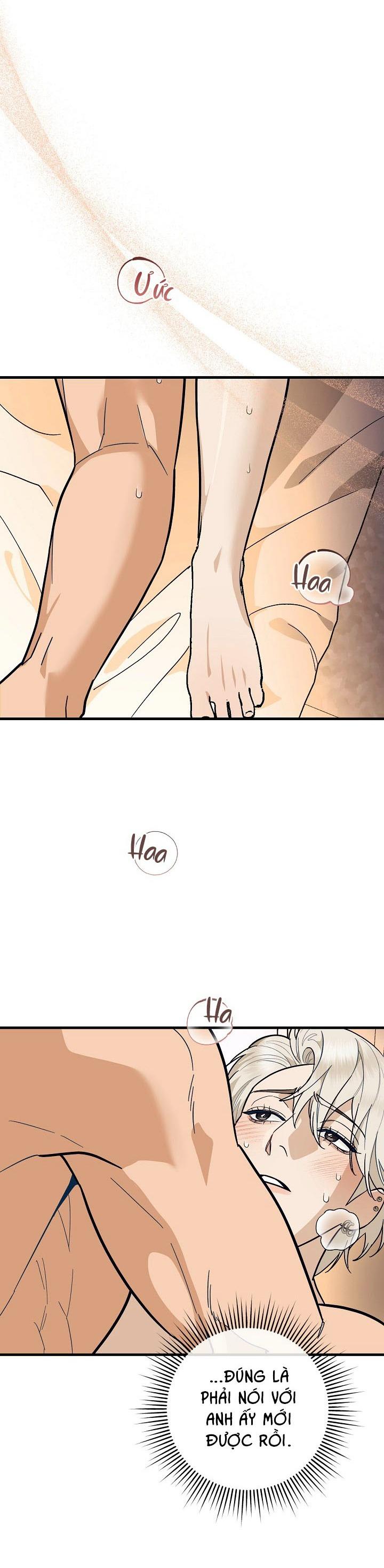 TUYỂN TẬP NHẤT THỤ ĐA CÔNG CỦA NHÀ KIM Chapter 47.7 threepiecelove7 - Trang 2