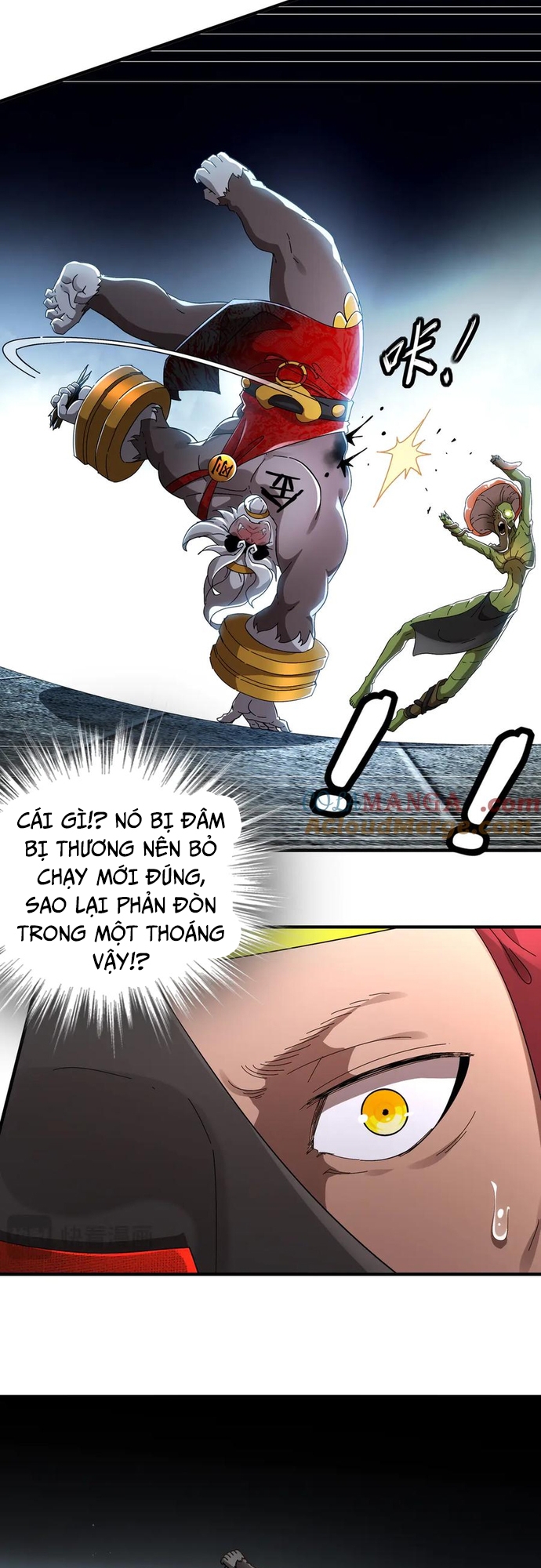 Tuyệt Sắc Đạo Lữ Đều Nói Ngô Hoàng Thể Chất Vô Địch Chapter 325 - Trang 4