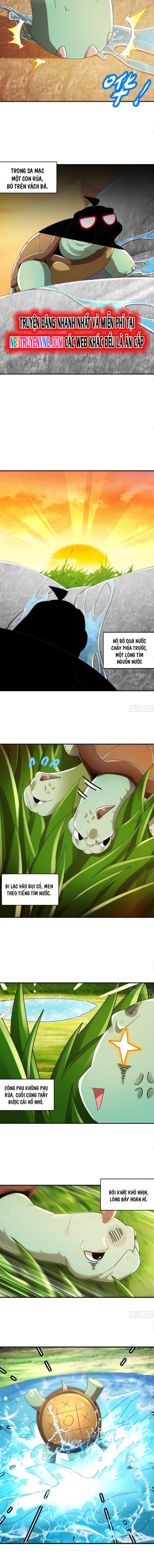 Tuyệt Sắc Đạo Lữ Đều Nói Ngô Hoàng Thể Chất Vô Địch Chapter 347 - Trang 4