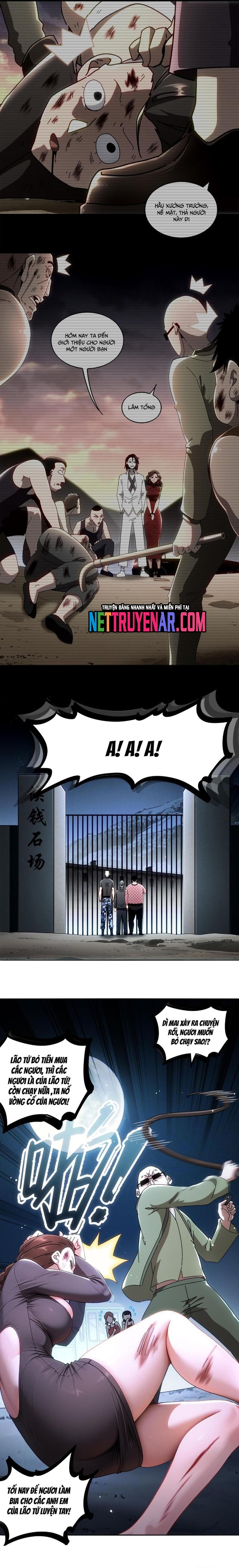 Tuyệt Sắc Đạo Lữ Đều Nói Ngô Hoàng Thể Chất Vô Địch Chapter 414 5