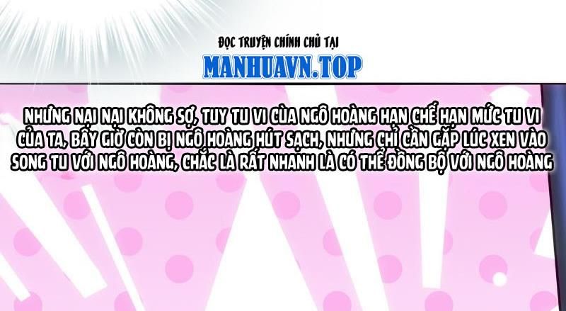 Tuyệt Sắc Đạo Lữ Đều Nói Ngô Hoàng Thể Chất Vô Địch Chapter 416 - Trang 2