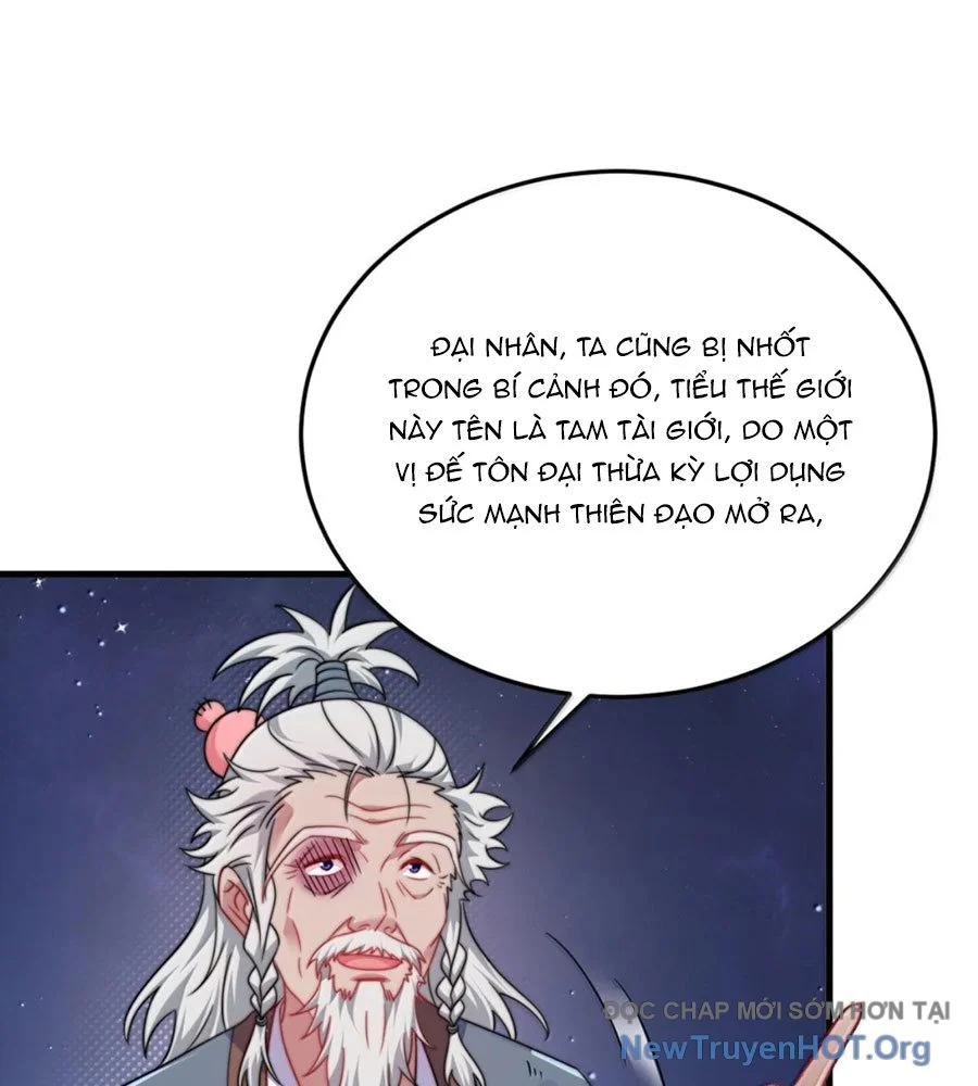 Vai Ác Sư Tôn Mang Theo Các Đồ Đệ Vô Địch Thiên Hạ Chapter 174 - Trang 3