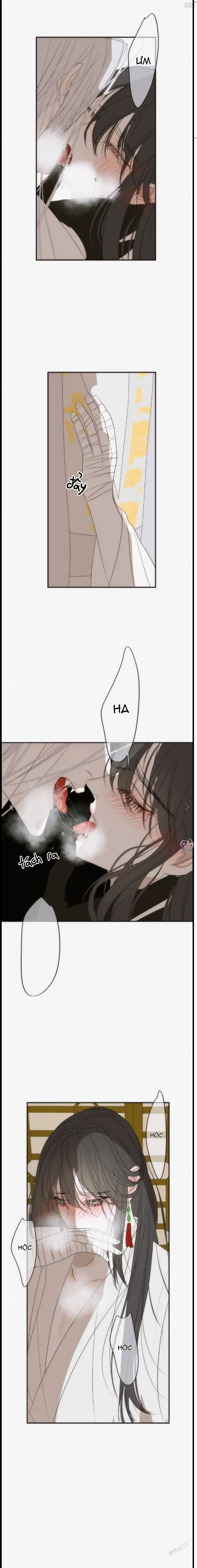 Vài Câu Chuyện Với Sư Tôn Sau Khi Xuyên Sách Chapter 81.14 - Trang 2