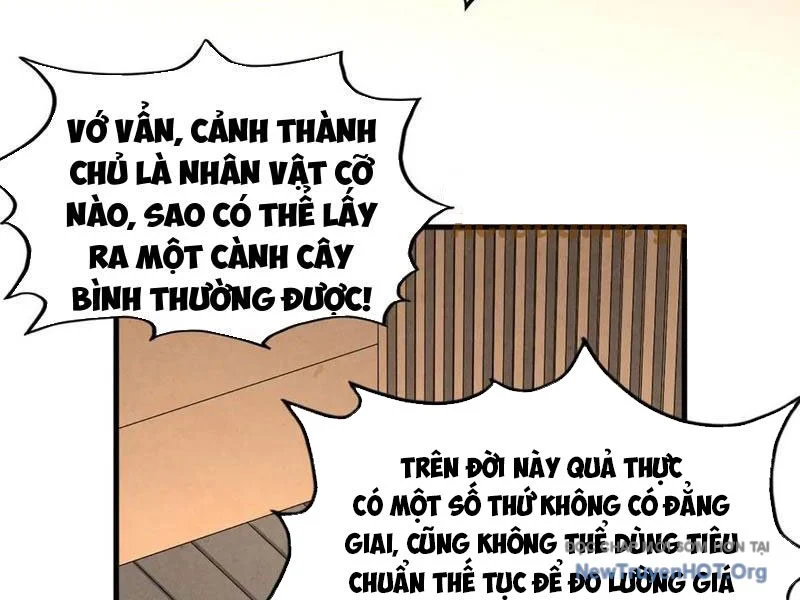 Vạn Cổ Chí Tôn Chapter 429 - Trang 2