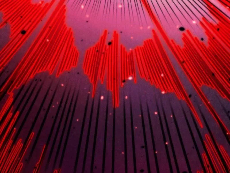 vạn cổ chí tôn Chapter 486 11